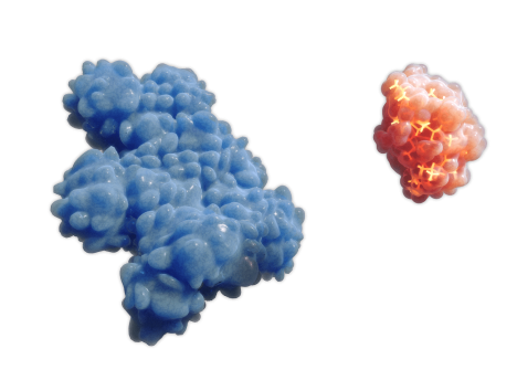 EDW112_SC012_Peptide_Interaction_00_06-min